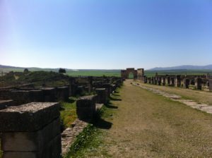 Volubilis 3