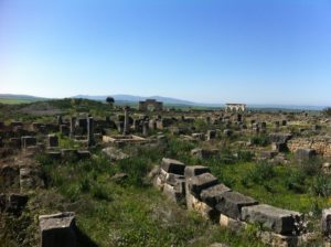 Volubilis 4